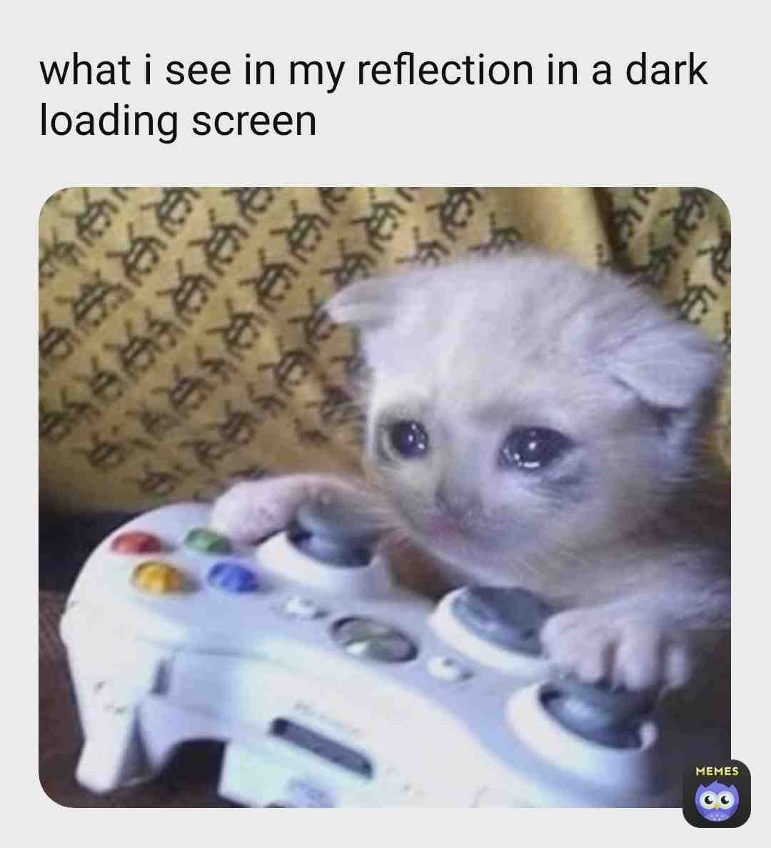 Meme shared by @D_I_O