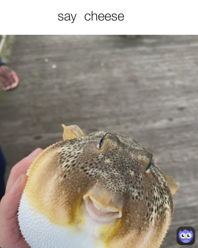 Meme by spongebobs_sister