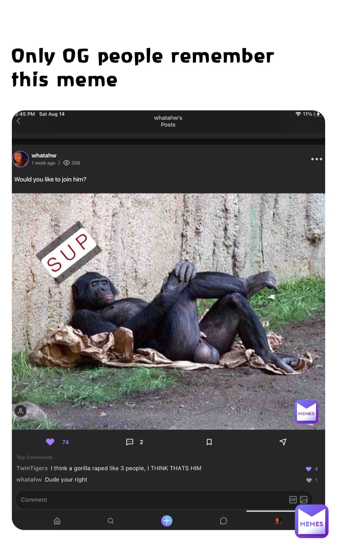 Only OG people remember this meme