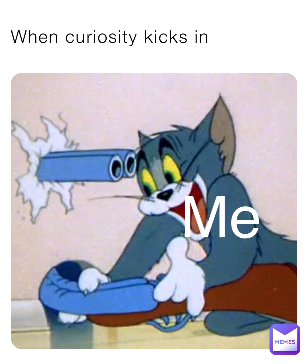 When curiosity kicks in Me