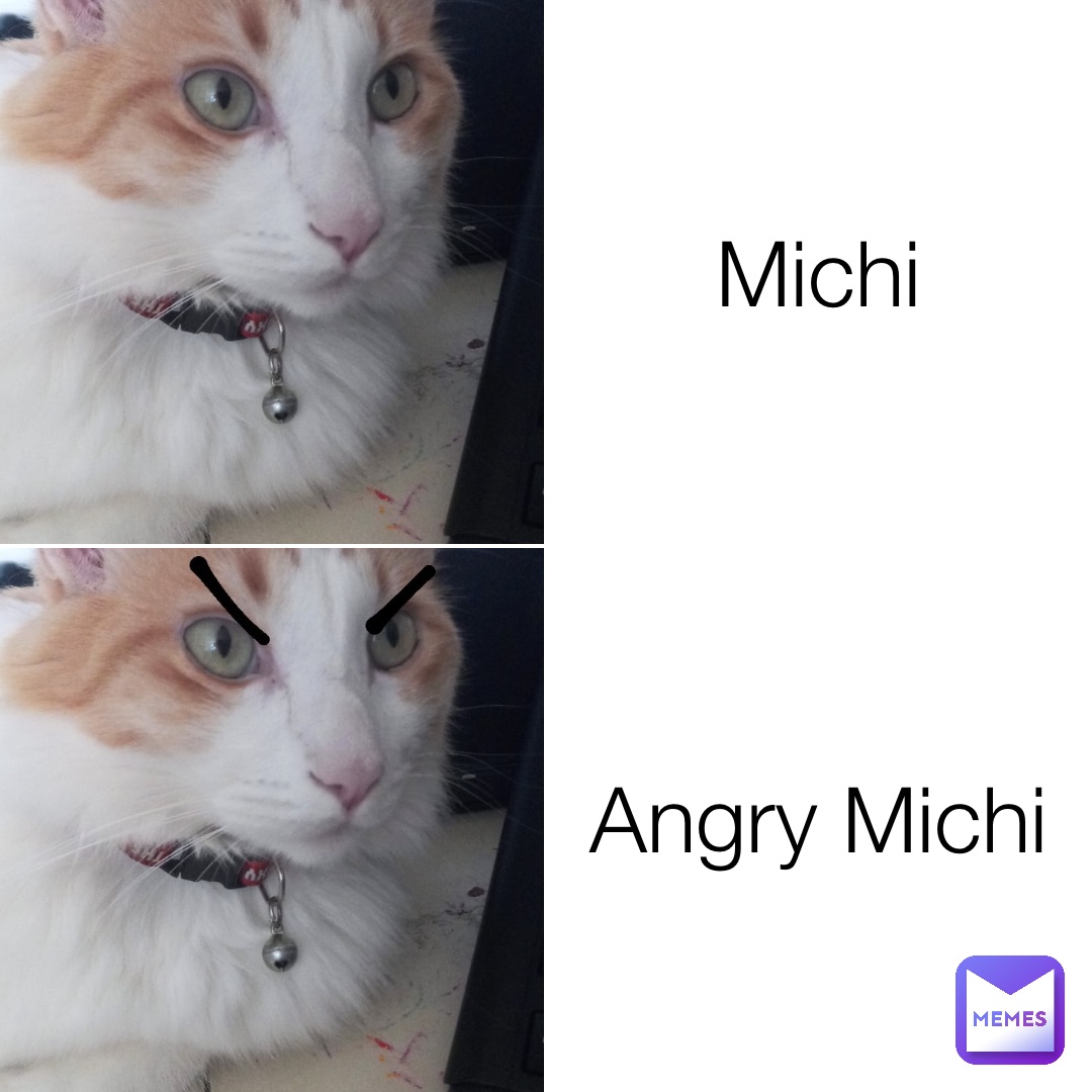 Michi Angry Michi