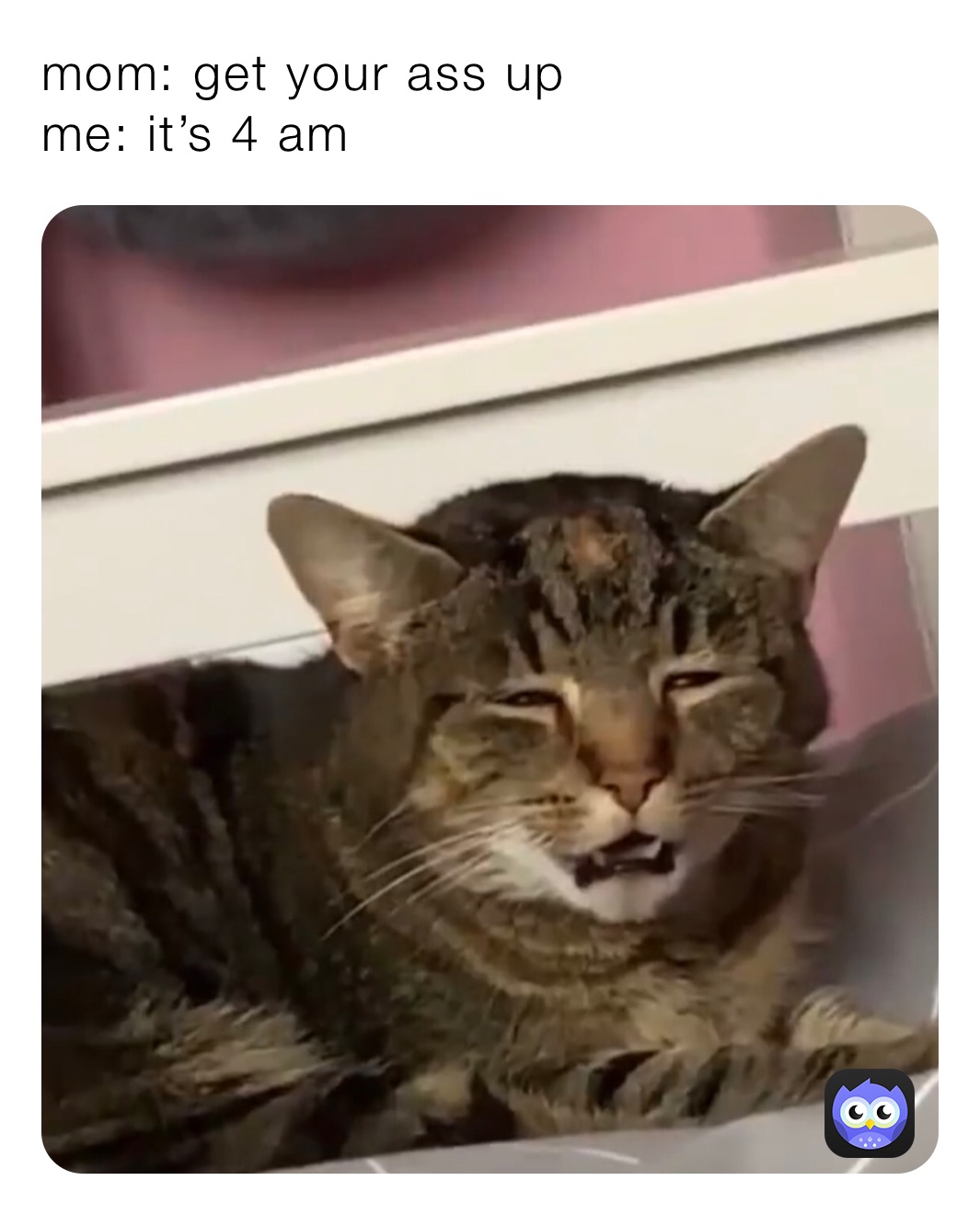 Meme by goofygoofy_goober