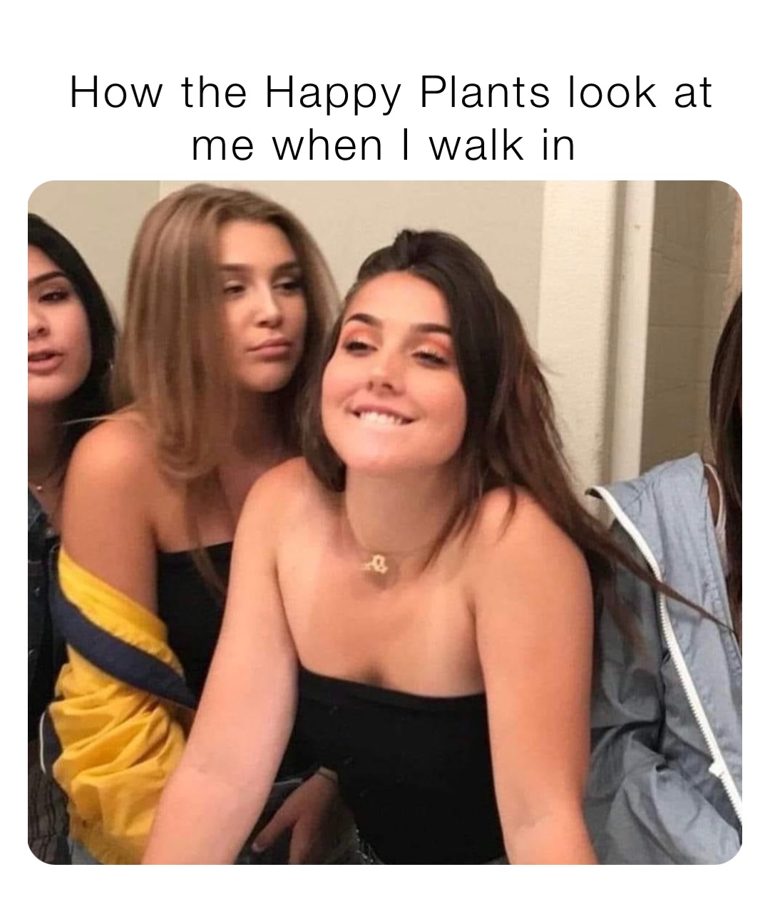 How the Happy Plants look at me when I walk in