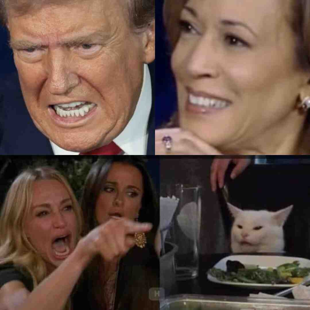 Meme preview