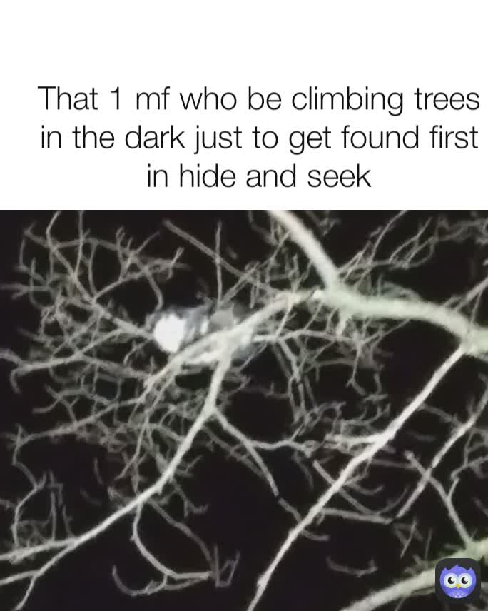 That 1 mf who be climbing trees in the dark just to get found first in hide and seek