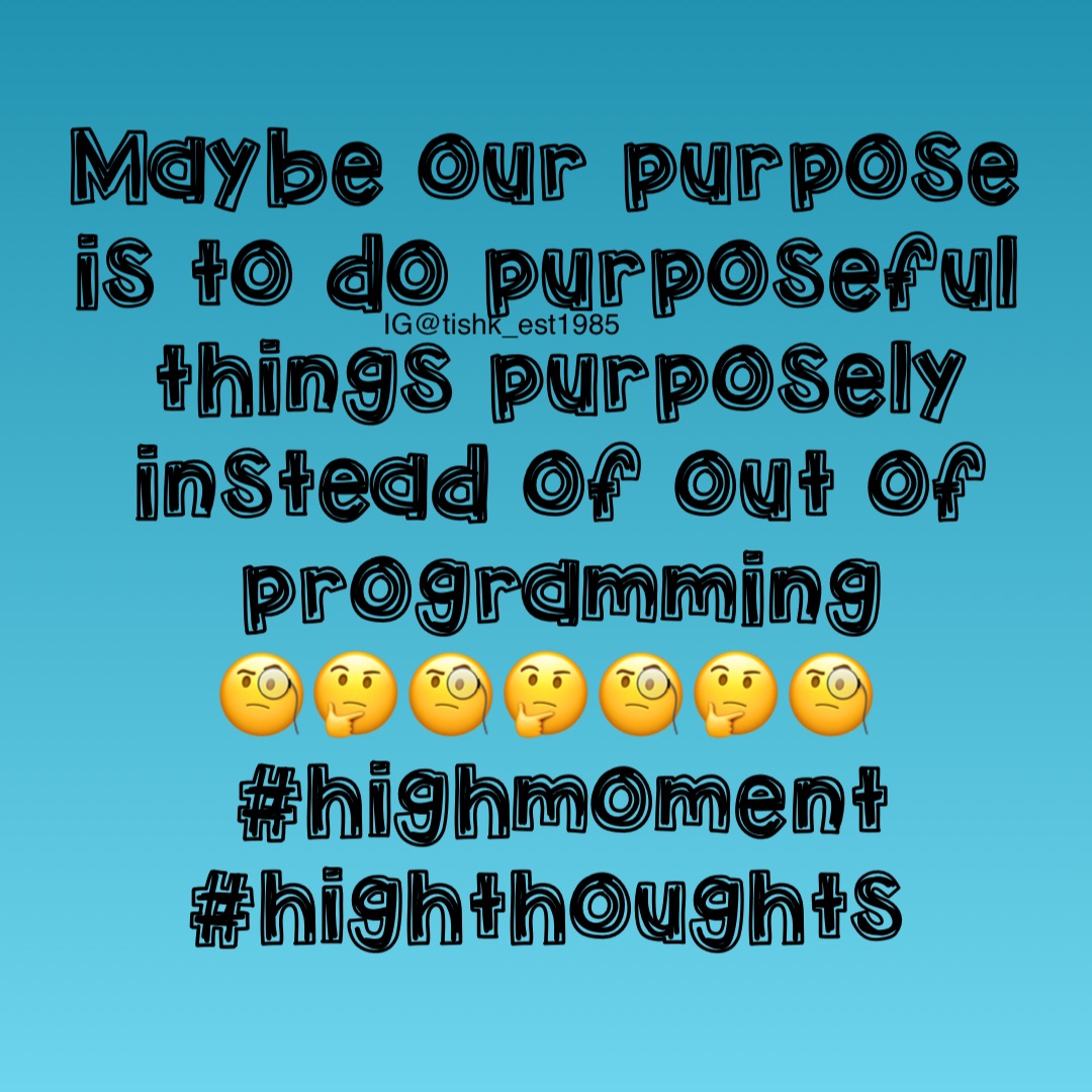 Maybe our purpose is to do purposeful things purposely instead of out of programming 
🧐🤔🧐🤔🧐🤔🧐
#highmoment #highthoughts