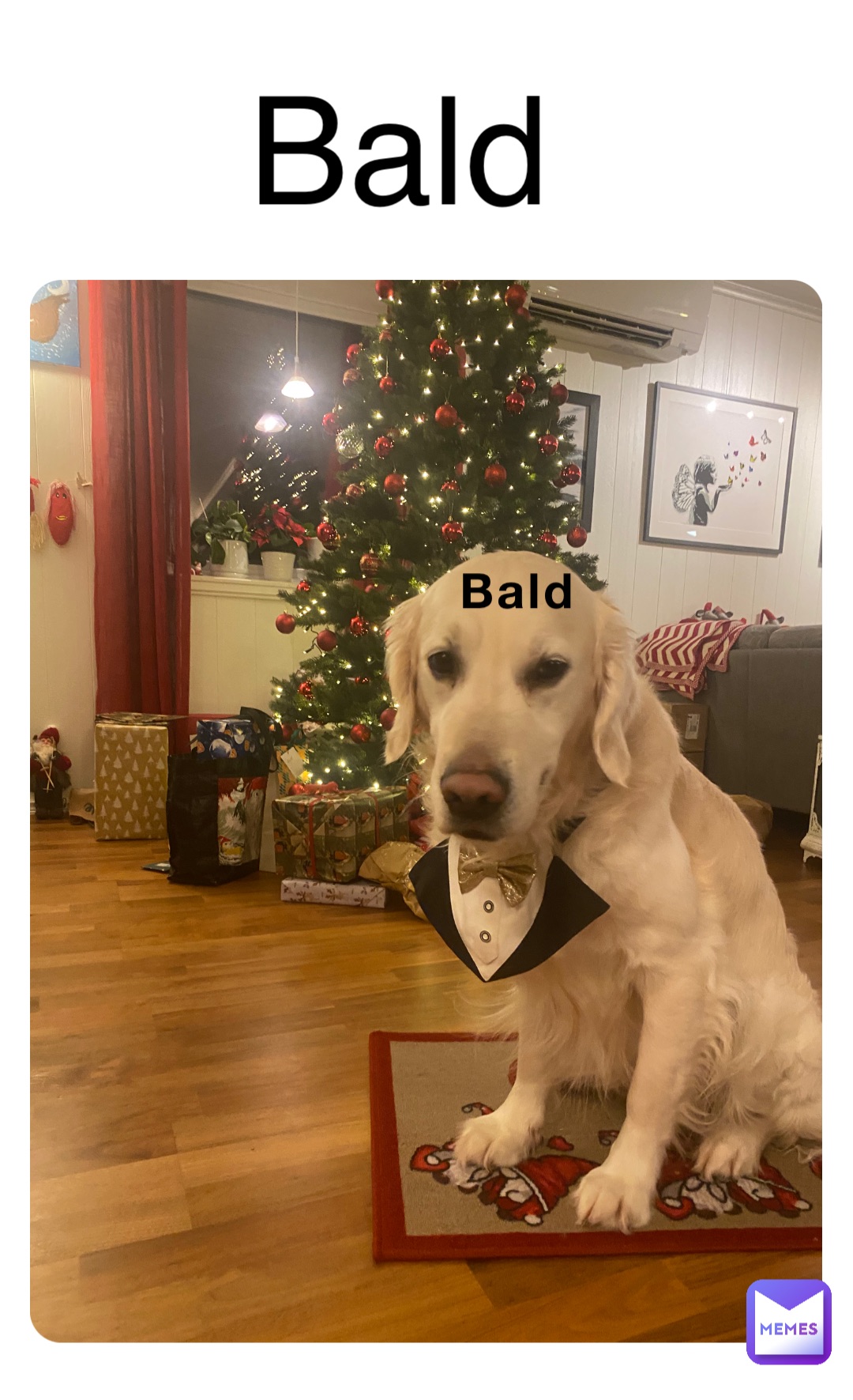 Bald Bald