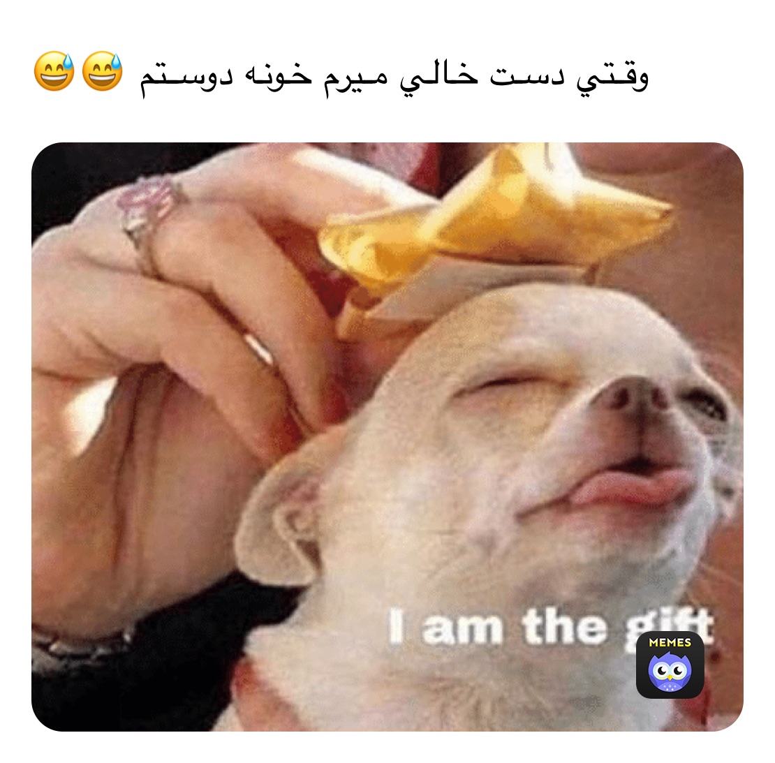 وقتي دست خالي ميرم خونه دوستم 😅😅