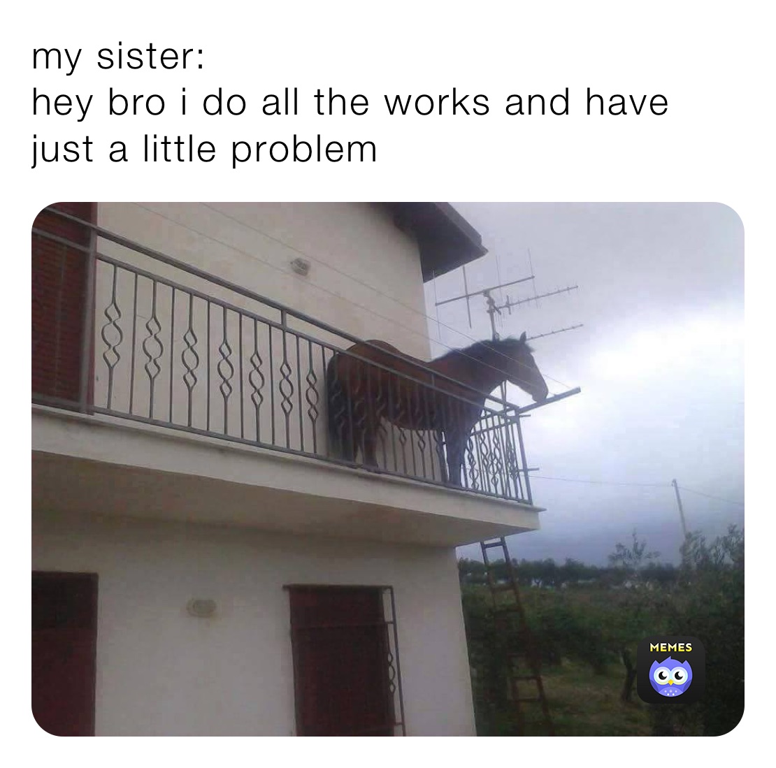 my sister:
hey bro i do all the works and have just a little problem 