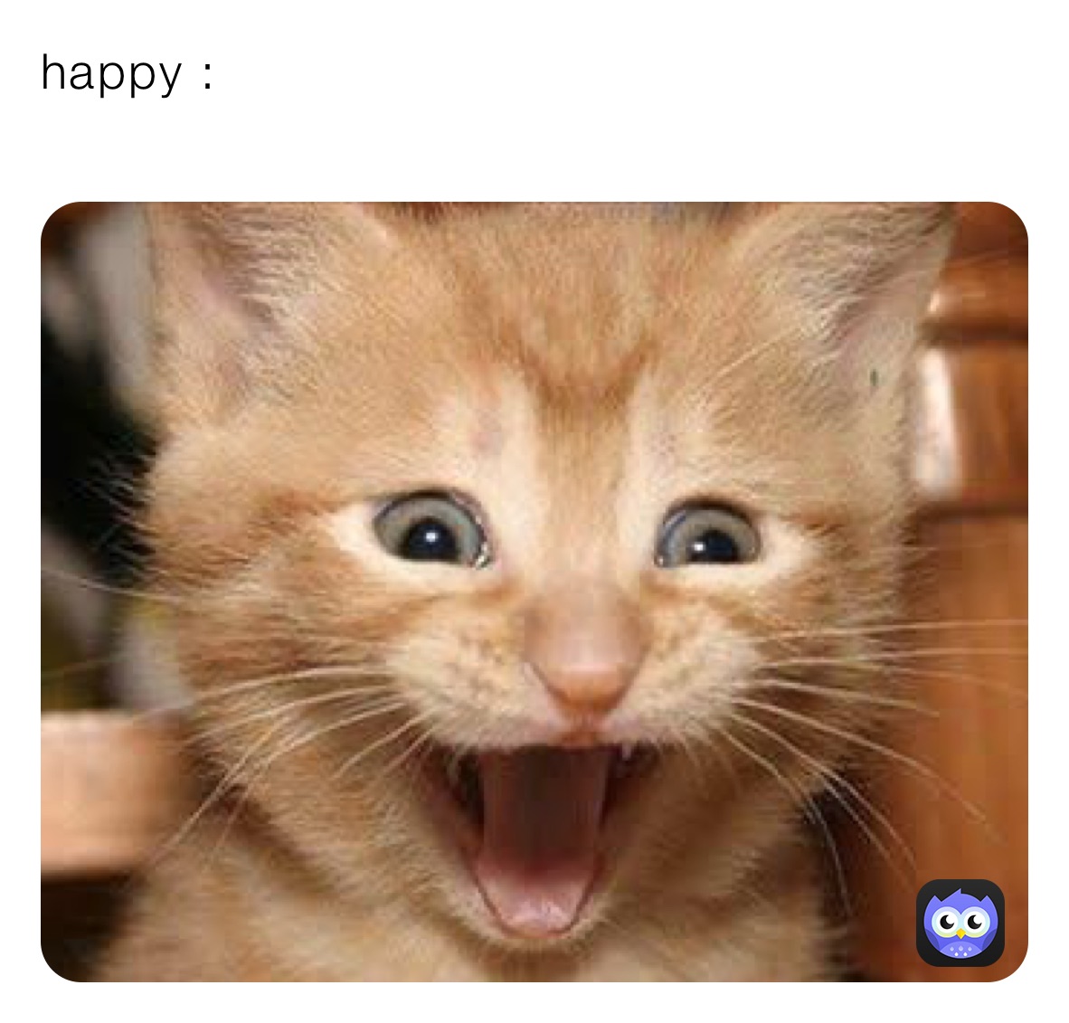 Meet All of Ree Drummond’s Four-Legged Friends, image size:1182x1131