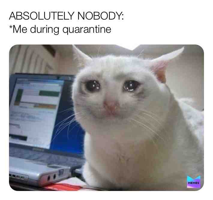 Meme shared by @will_the_worm