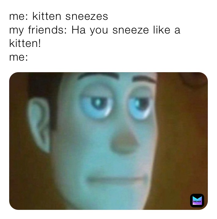 me: kitten sneezes
my friends: Ha you sneeze like a kitten!
me: