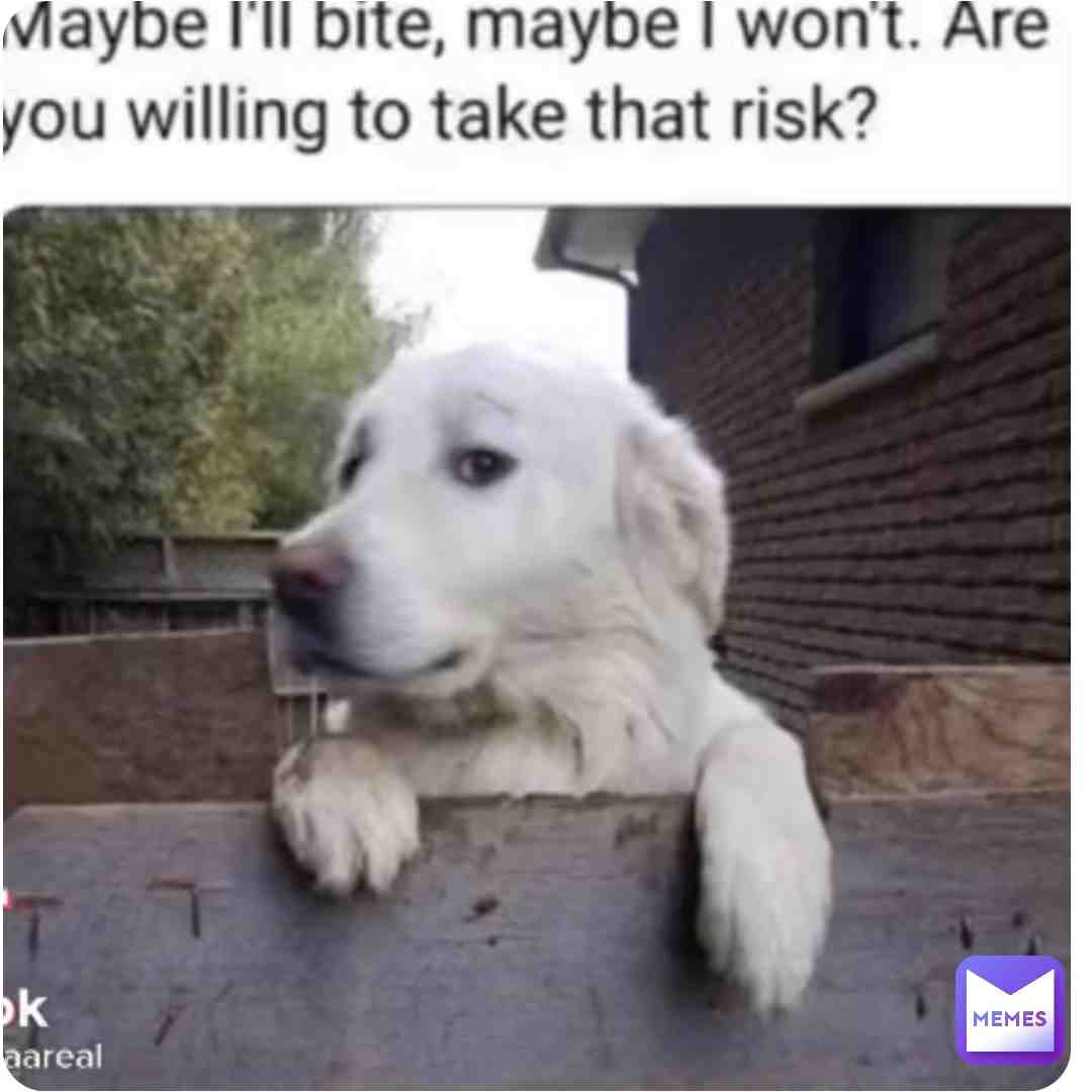 Dog #wap