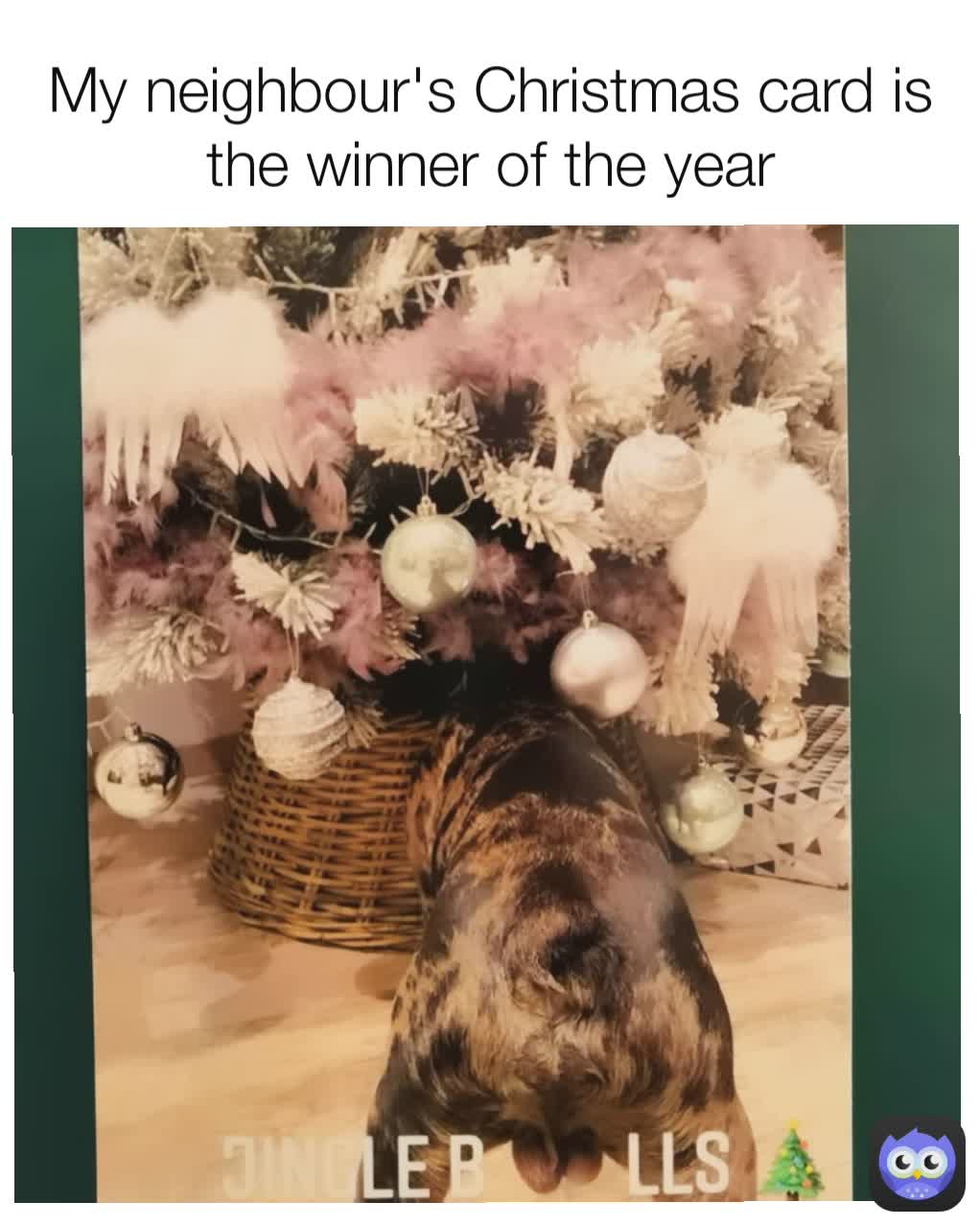My neighbour's Christmas card is the winner of the year
