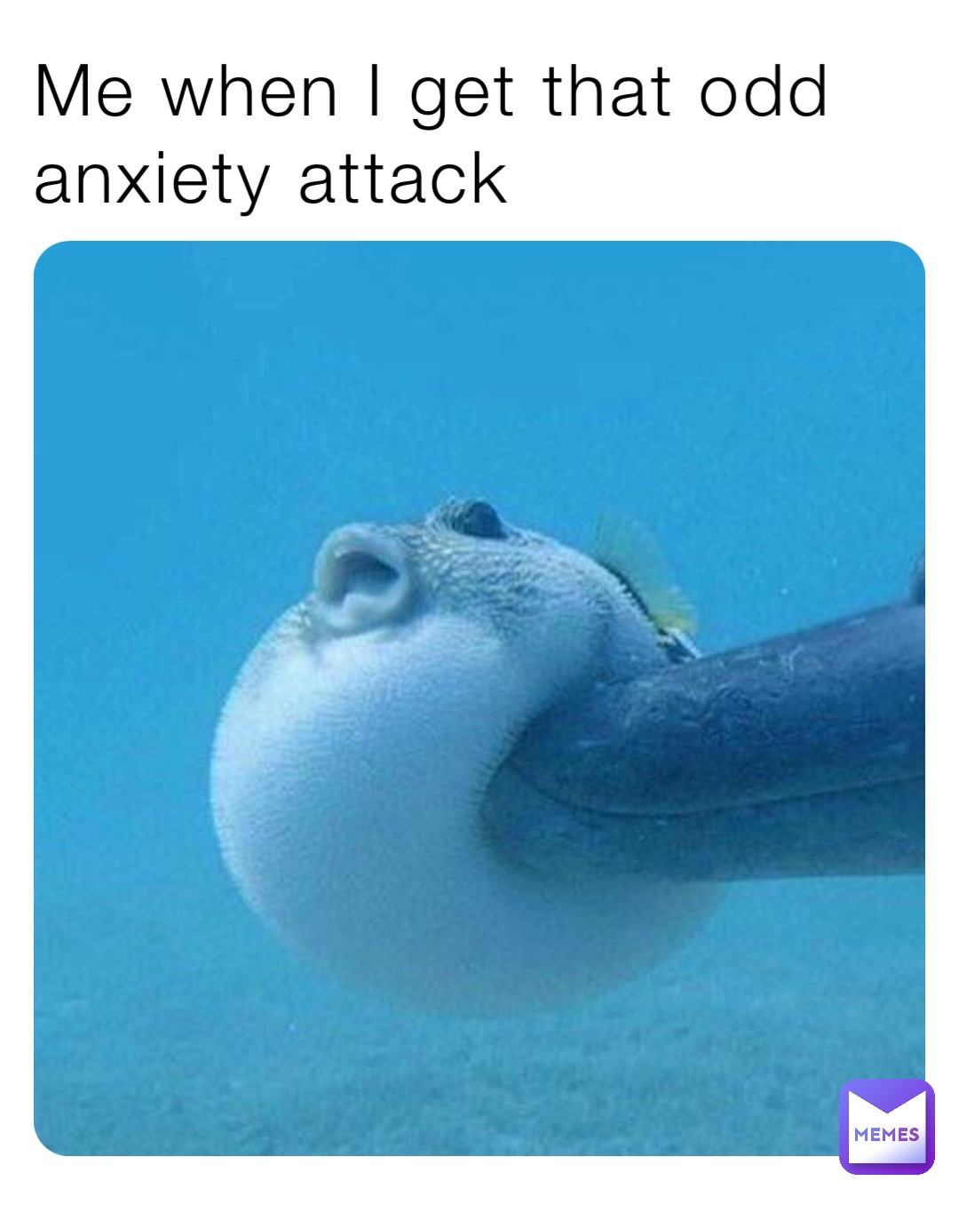 Me when I get that odd anxiety attack