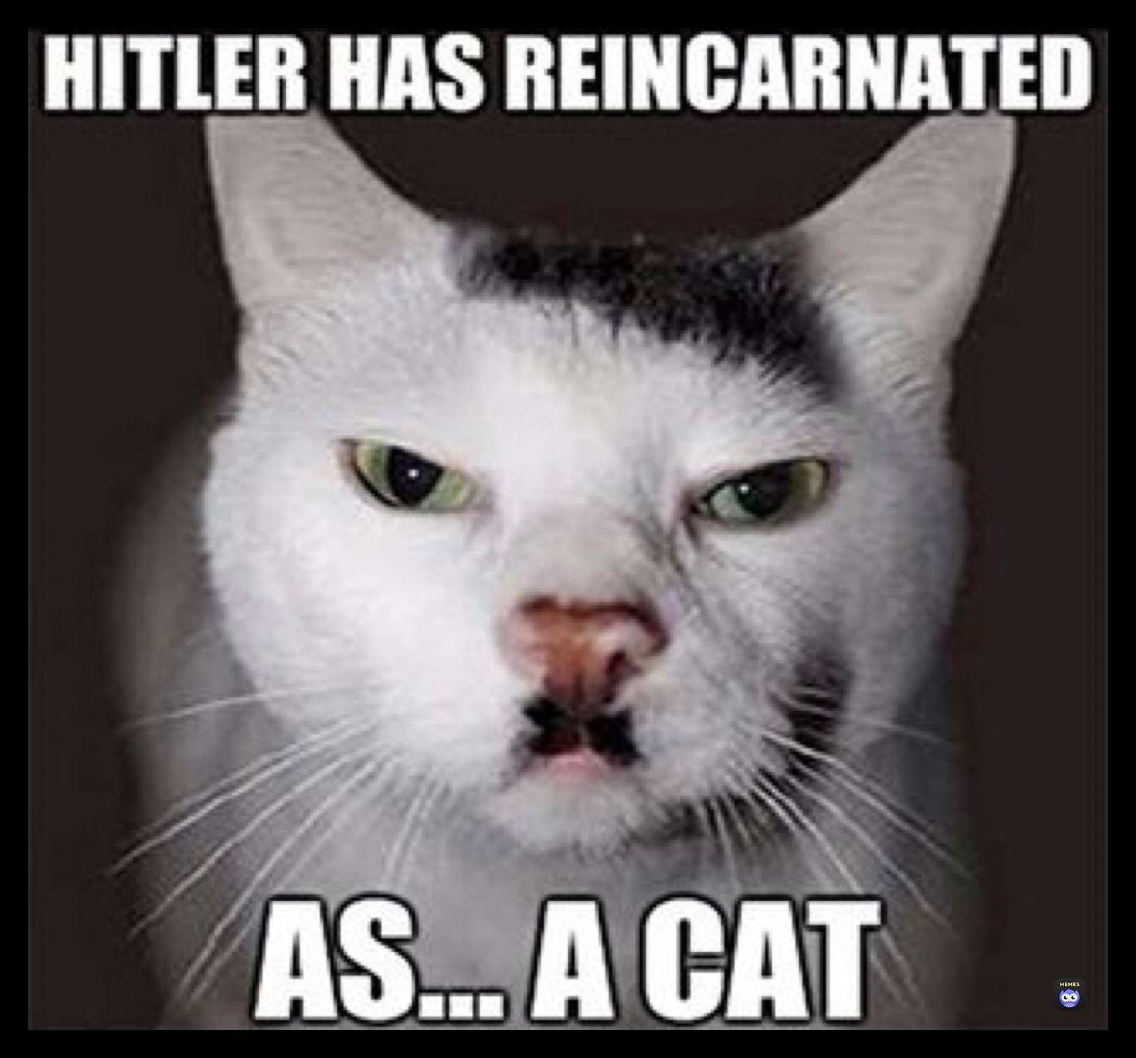 Meme by Whinnie_the_POOOOHHHH