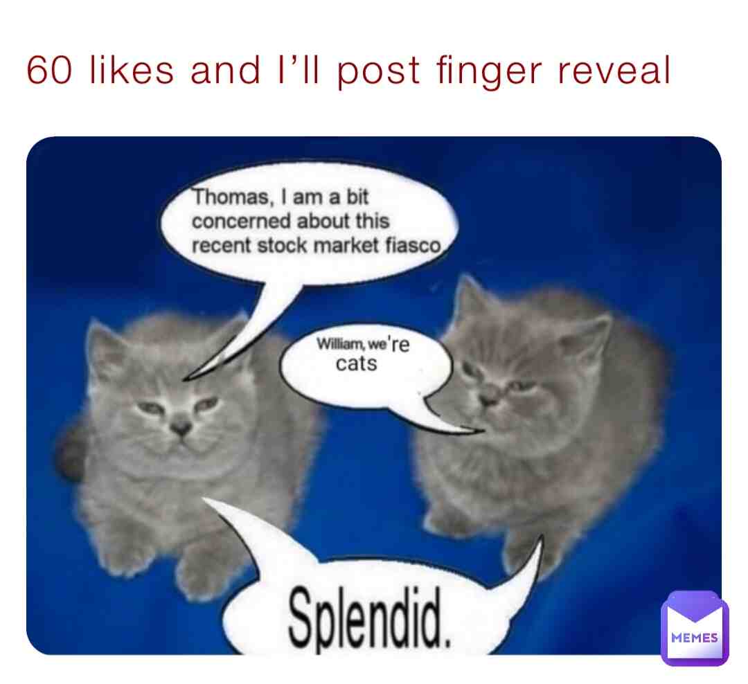 Meme preview