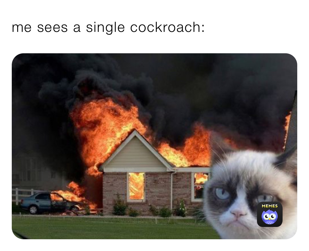 Meme by juice_ate_the_wrld