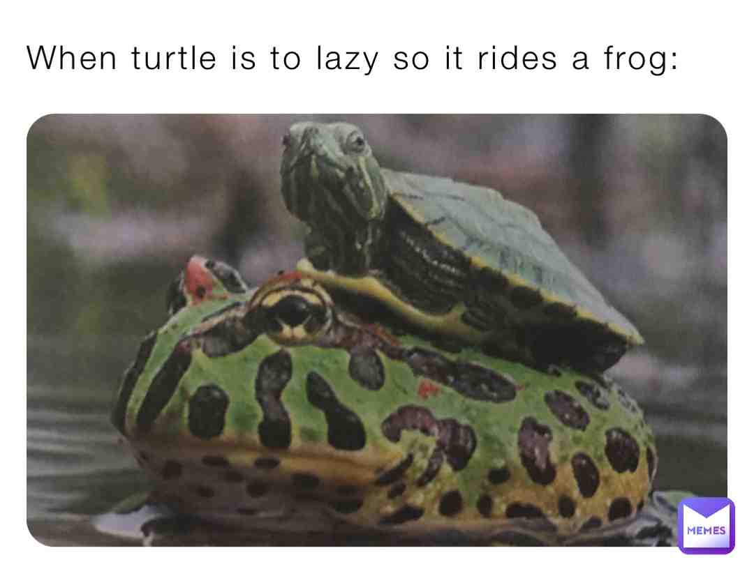 Meme shared by @Tiki_DaParrot