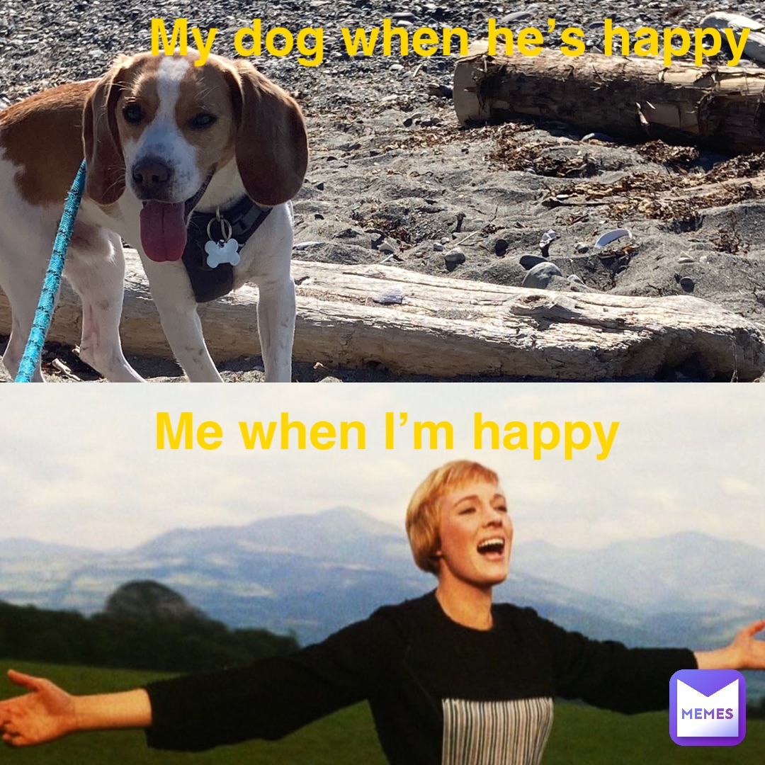 My dog when he’s happy Me when I’m happy