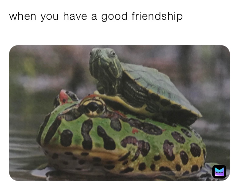 Meme by Zavier_darden