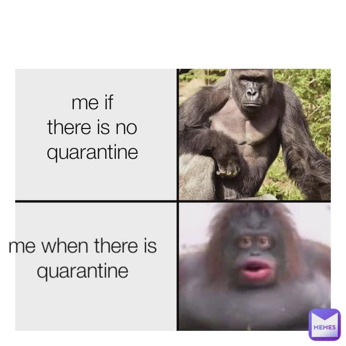 me when there is quarantine me if there is no quarantine