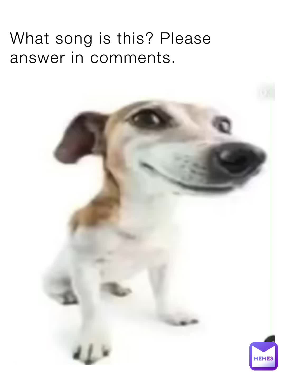 Doggo