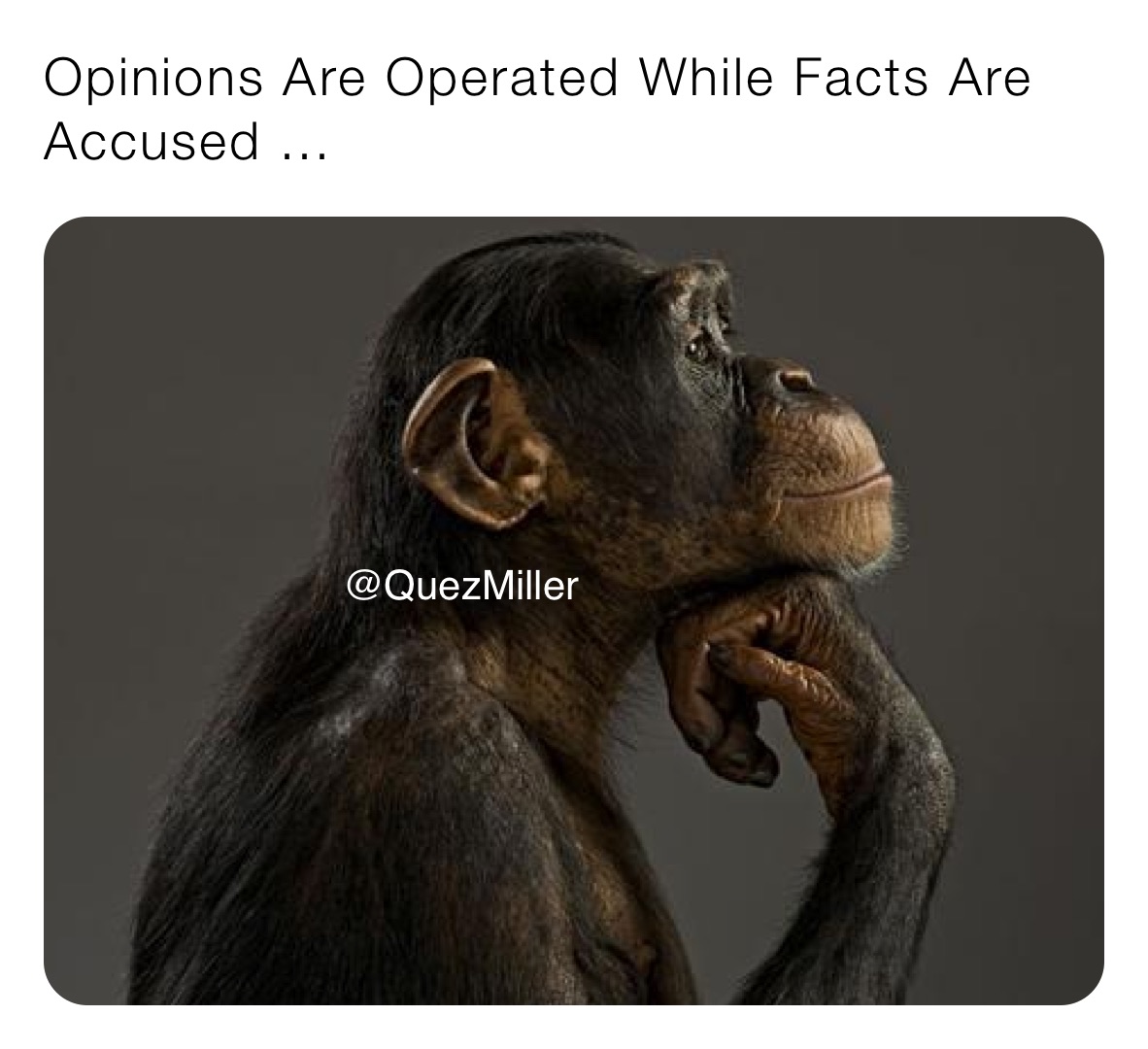 Meme by whitaker_marquez