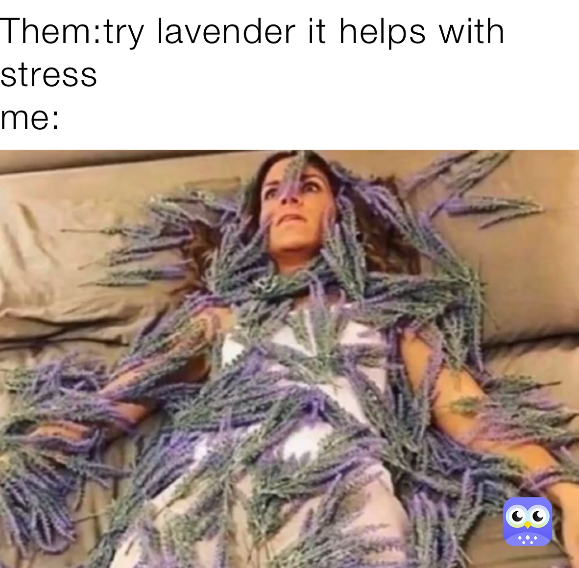 Them:try lavender it helps with stress
me: