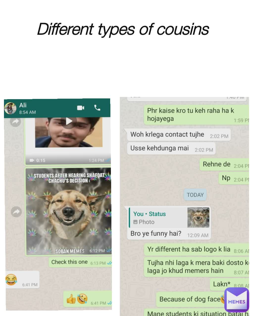 Different types of cousins