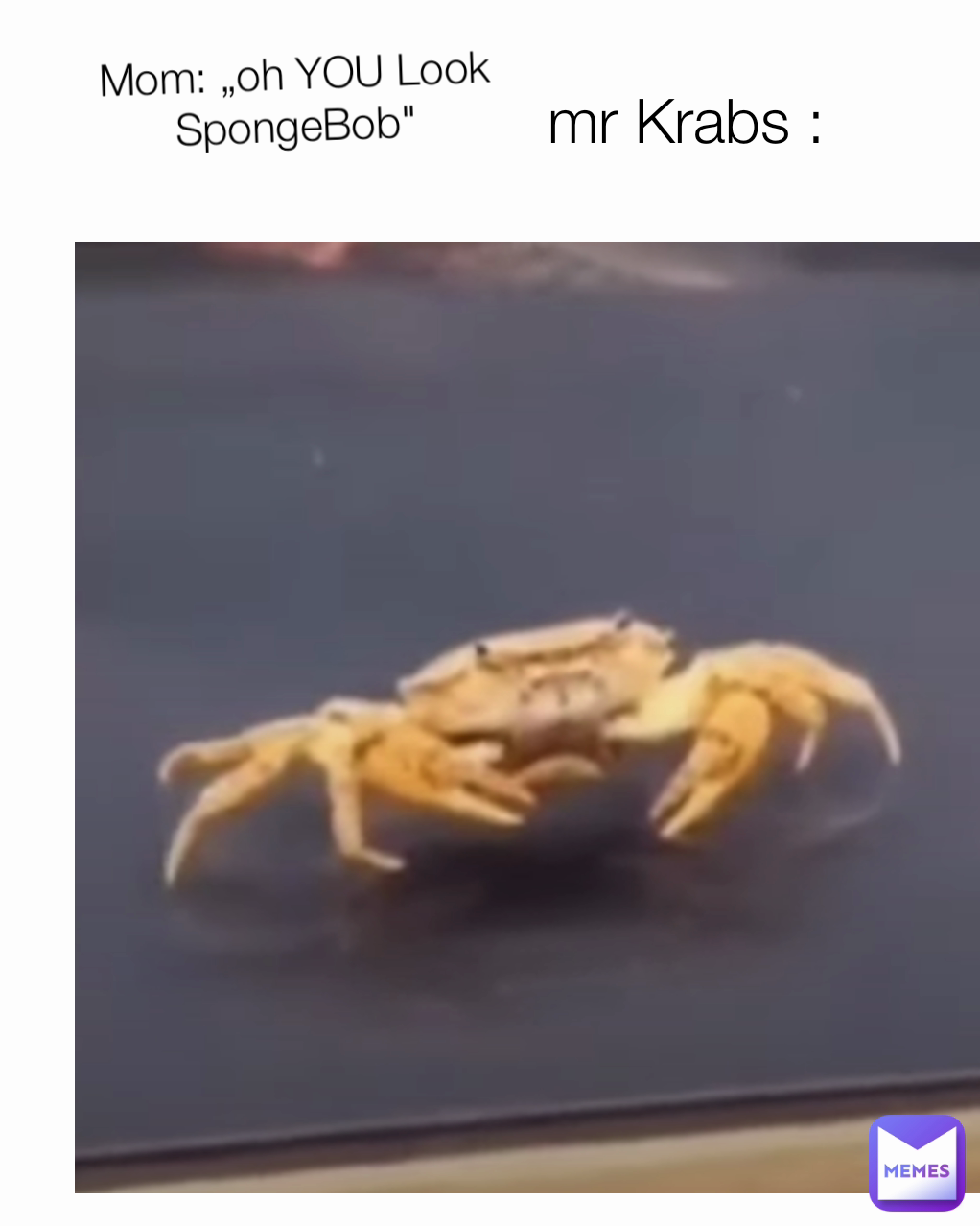Mom: „oh YOU Look SpongeBob" mr Krabs :