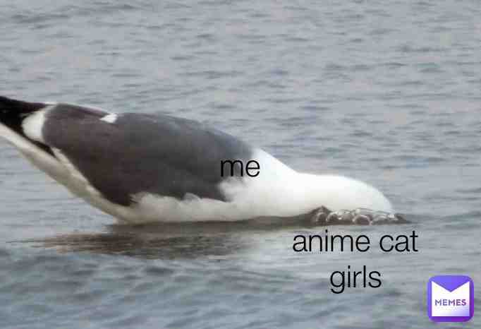 Cat girls are cuteeeeeeeeeeeeeeeeee