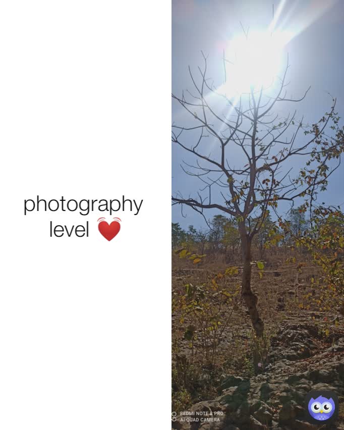 photography 
level 💓