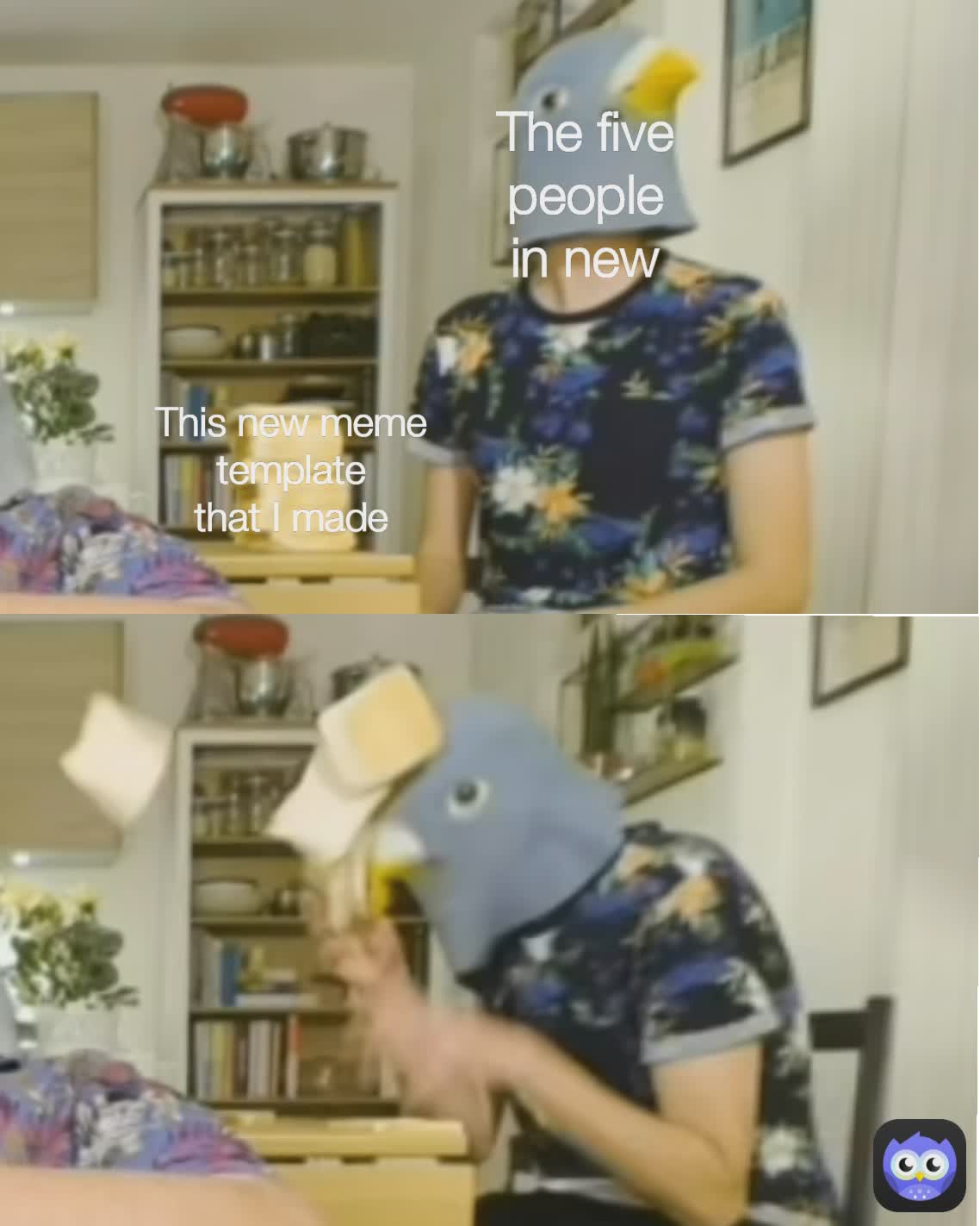 The five people
in new This new meme
template
that I made