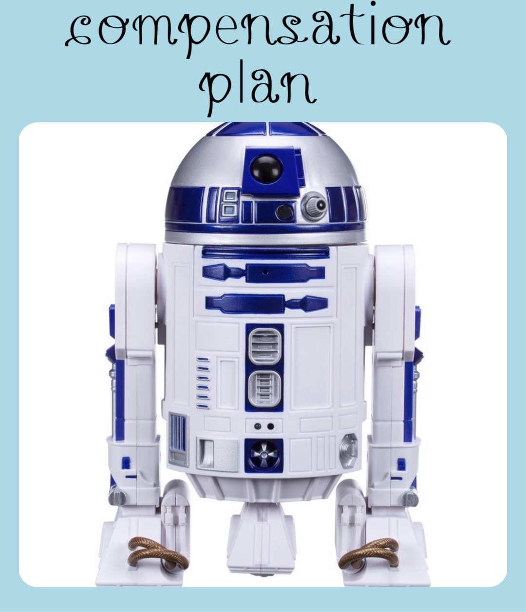 compensation
plan