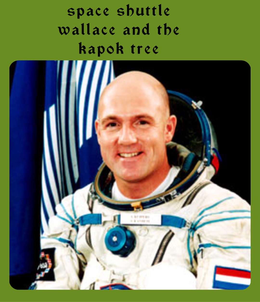 space shuttle
wallace and the
kapok tree