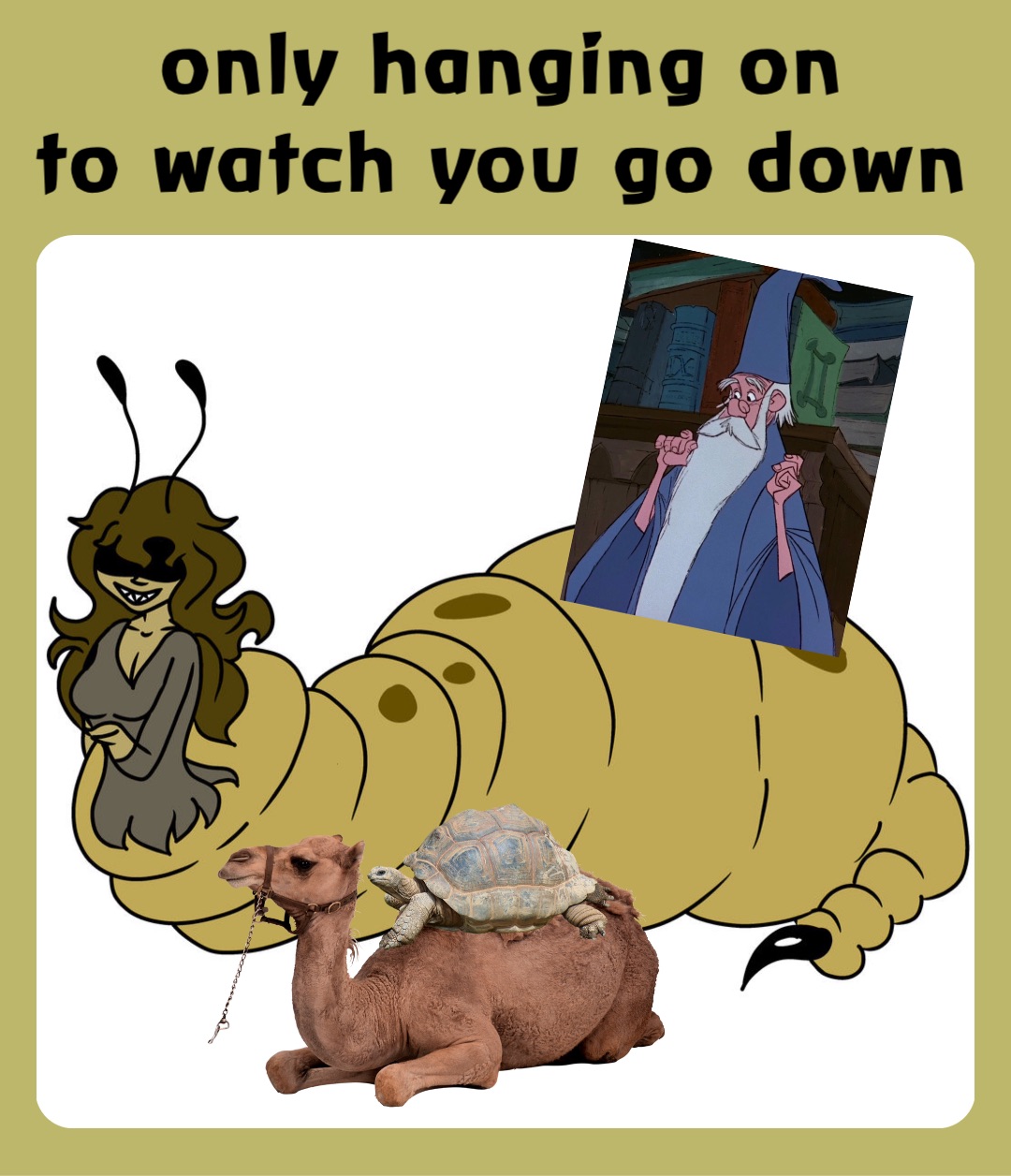 only hanging on
to watch you go down