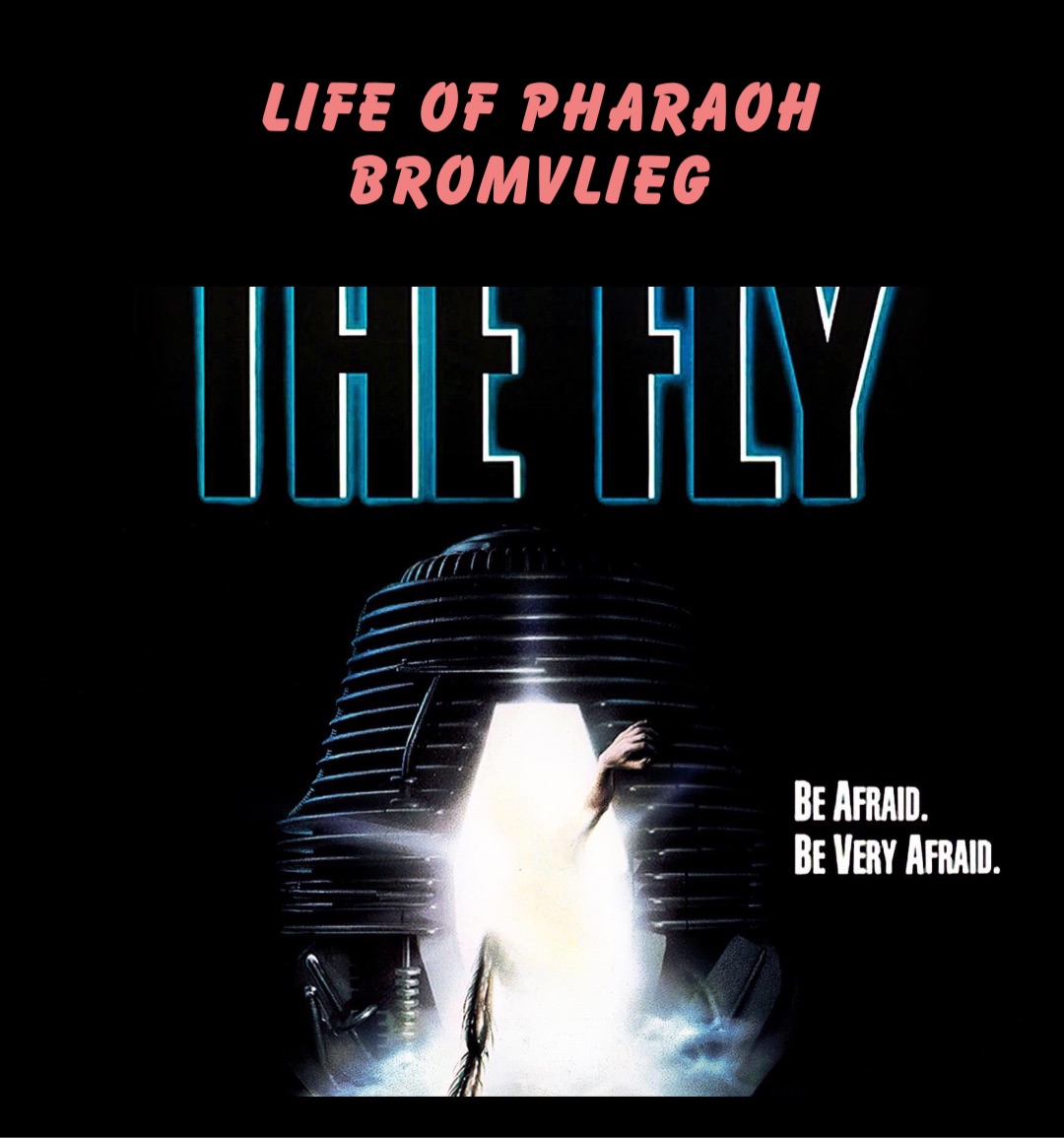 Meme by lolatrunkcanteen2