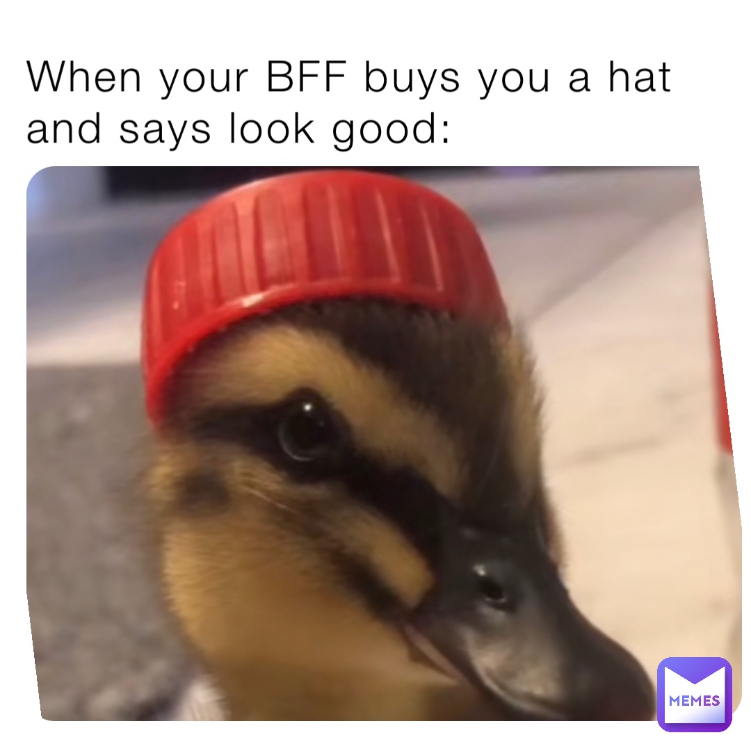 When your BFF buys you a hat and says look good: When your BFF buys you a hat and says look good: