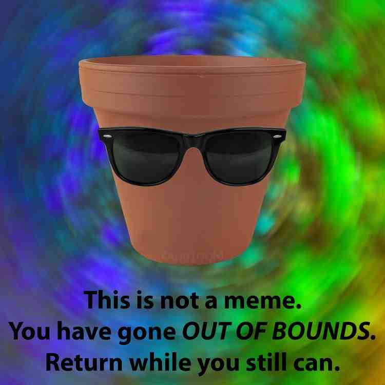 Meme shared by @nickd14