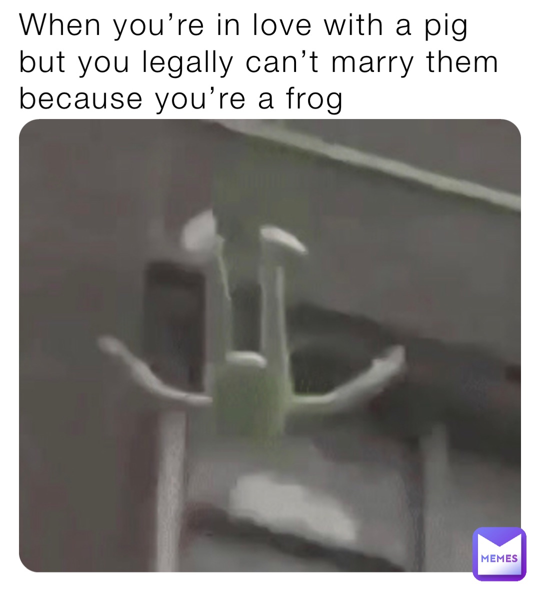 When you’re in love with a pig but you legally can’t marry them because you’re a frog