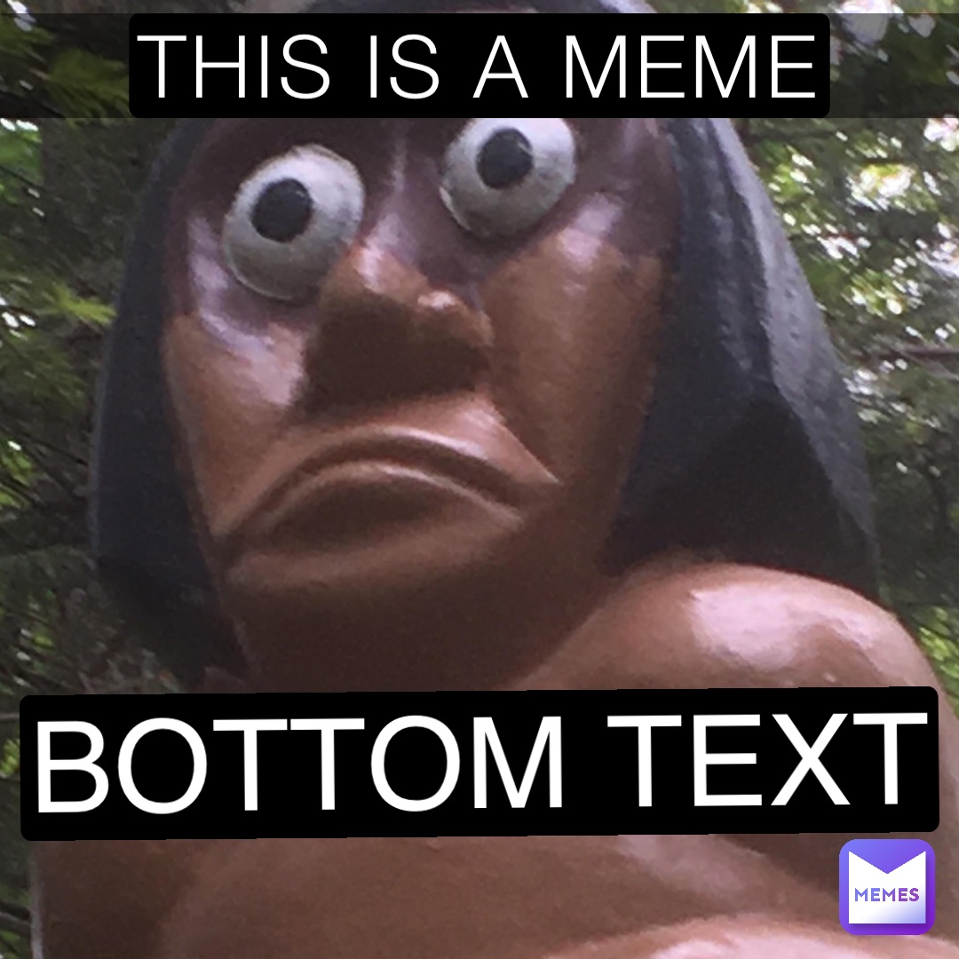 THIS IS A MEME BOTTOM TEXT