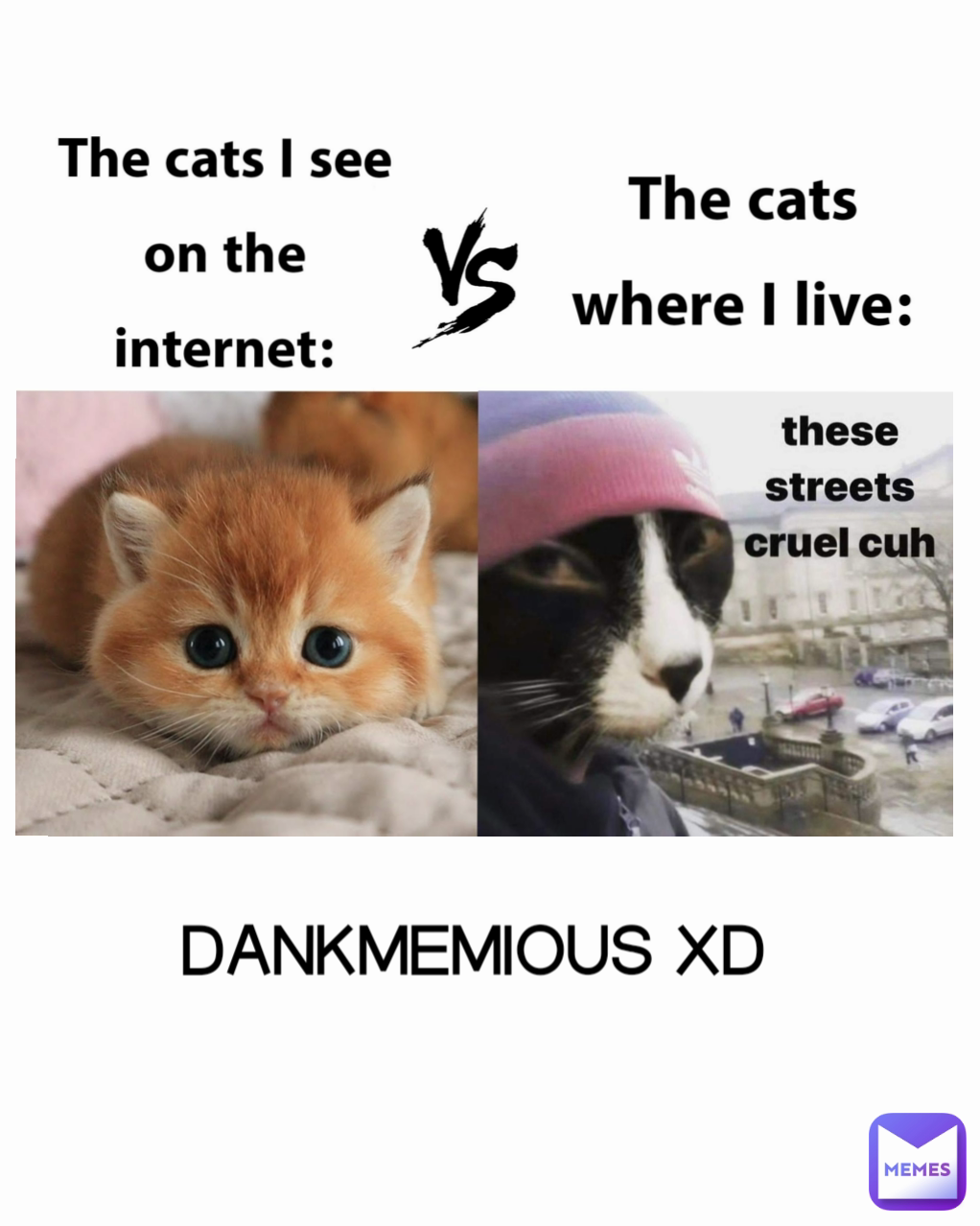 Meme by DANKMEMIOUS