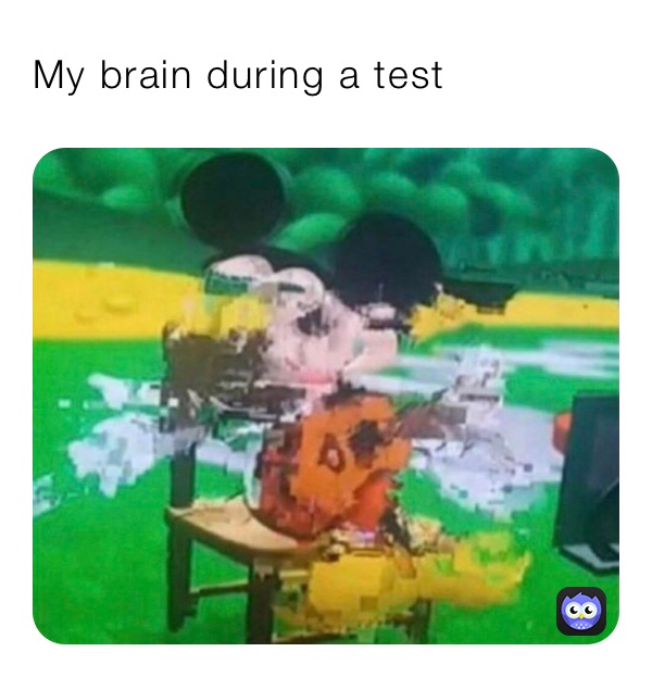 My brain during a test