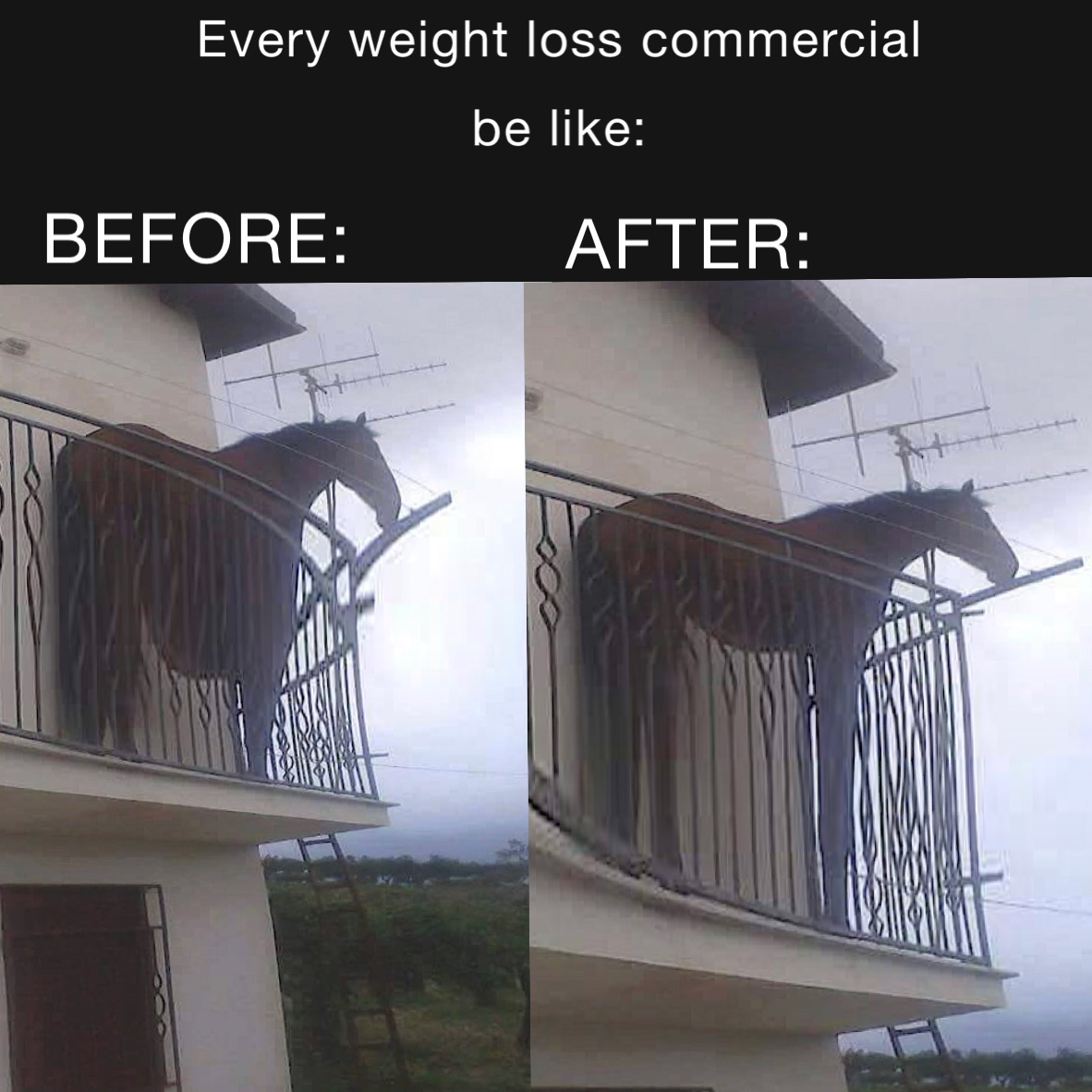 Meme by aloveallmine