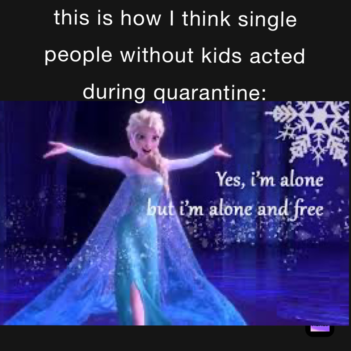 This is how I think single people without kids handled quarantine: 