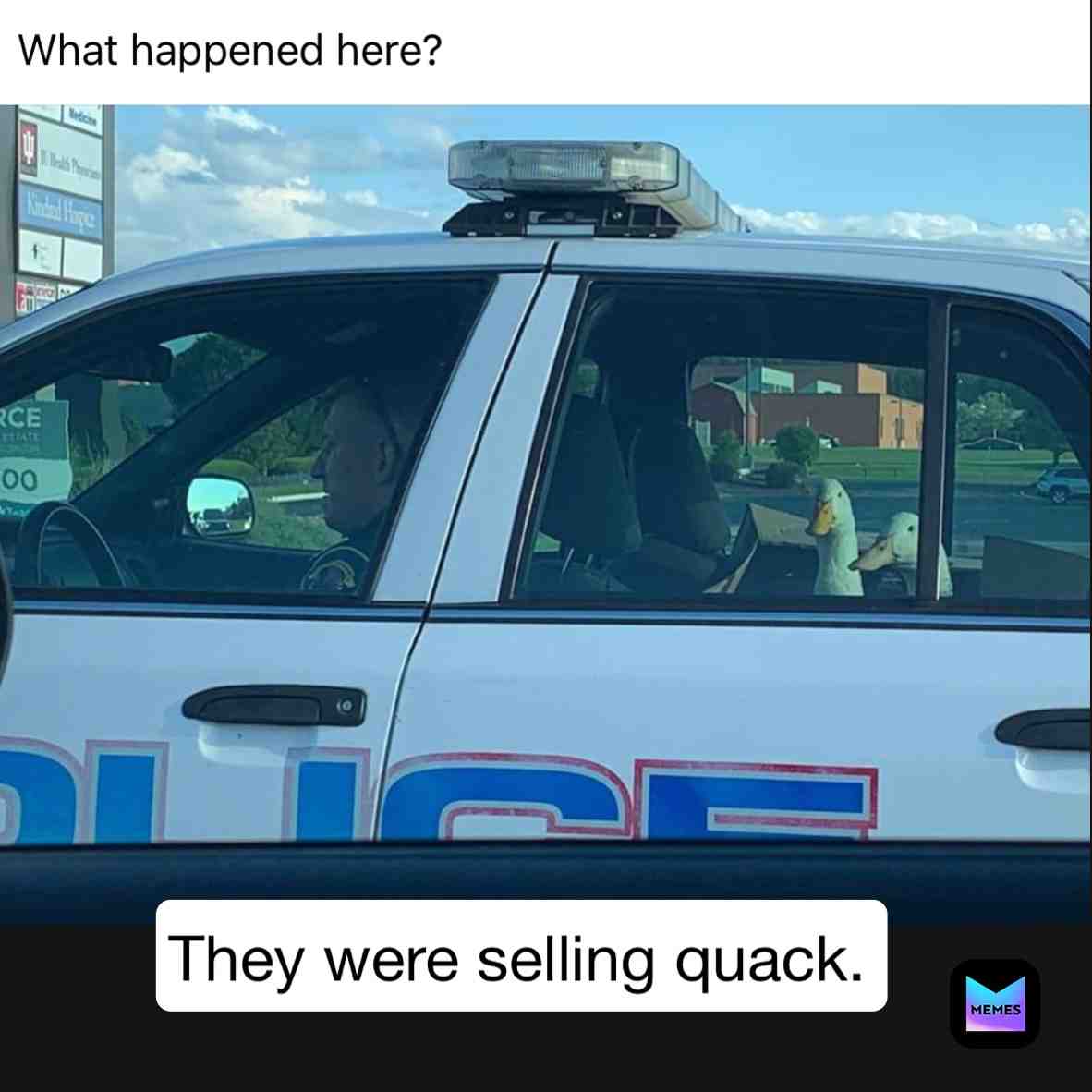 #quack