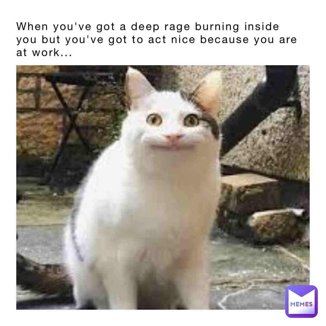 Meme preview