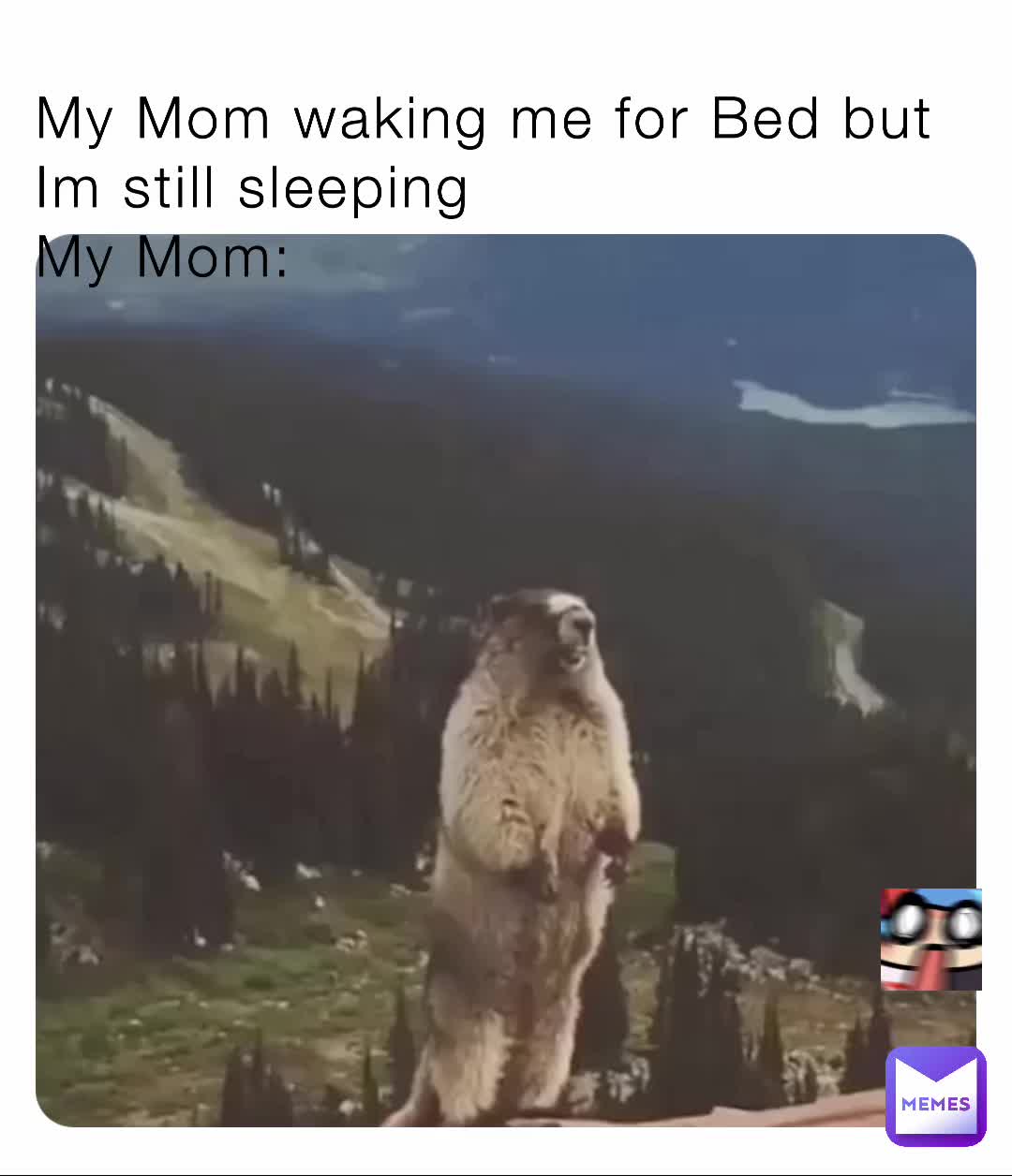 #notchleosmemes  #followme