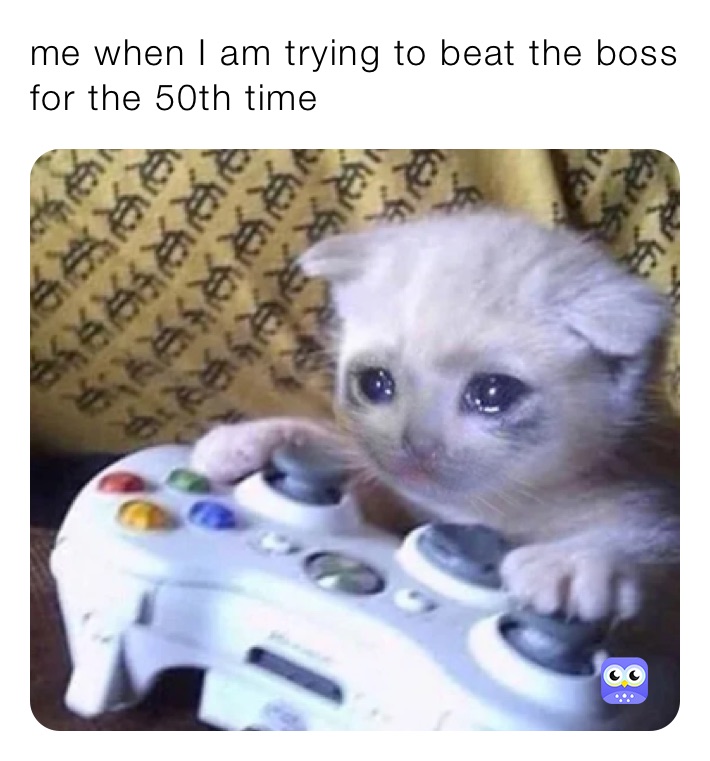 me when I am trying to beat the boss for the 50th time